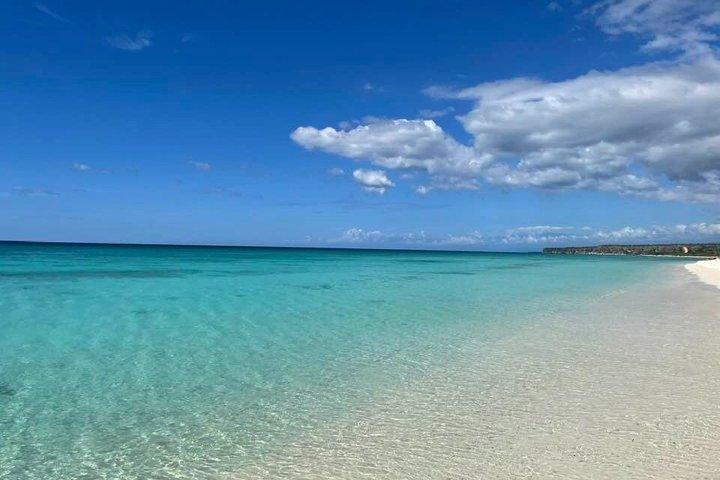 Excursion d'une journée sur l'île de Saona au départ de Punta Cana avec déjeuner et boissons
