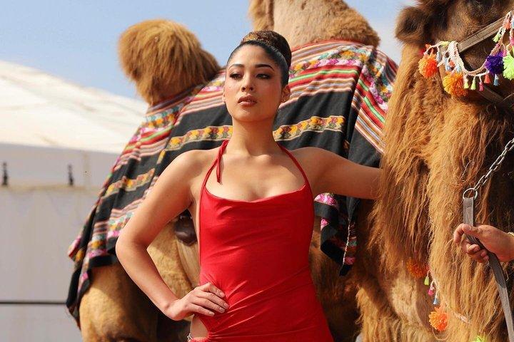 Fra Lima: Dromedarer + Huacachina + Dune Buggies og Sandboarding