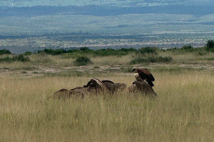 Amboseli dagexcursie