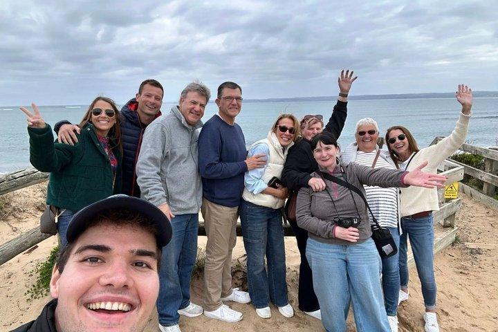 Phillip Island Smågruppspingviner & vinresa från Melbourne
