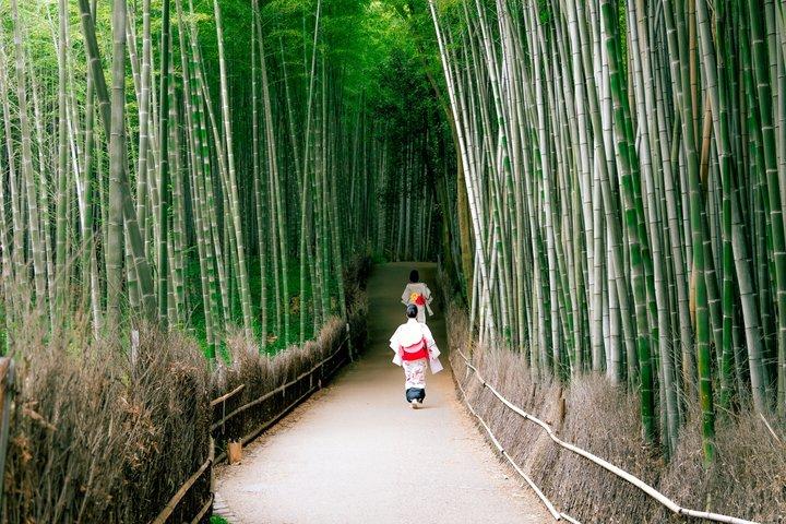 Arashiyama Bamboo Forest et Zen Garden Tour