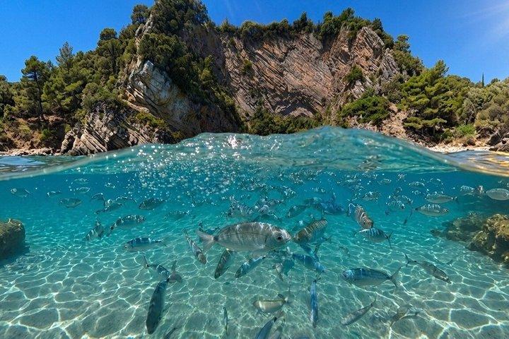 Boat tour to discover the Costa del Mito of Capo Palinuro