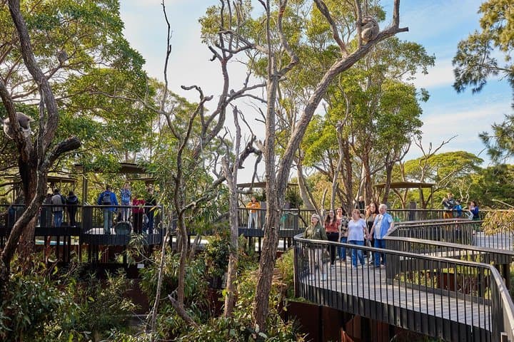 Sydney Taronga Zoo's Aussie Backyard Adventure Tour
