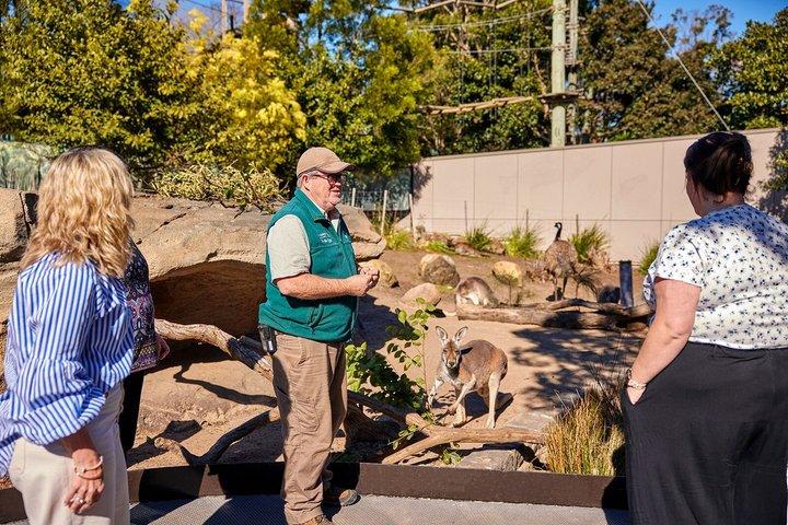 Sydney Taronga Zoo Wild Australia Experience