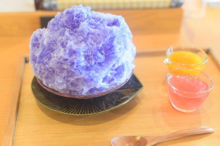 Templo Kamakura e fuga ao mar em veículo privado de Tóquio