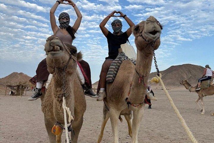 Hurghada Super Safari: Quad, Buggy, Camel, Bedouin middag og show