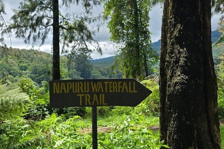 Mount Meru vandfald, kaffeplantage og Arusha City Tour