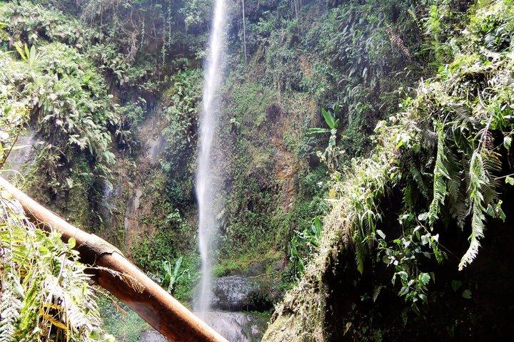 Mount Meru vandfald, kaffeplantage og Arusha City Tour