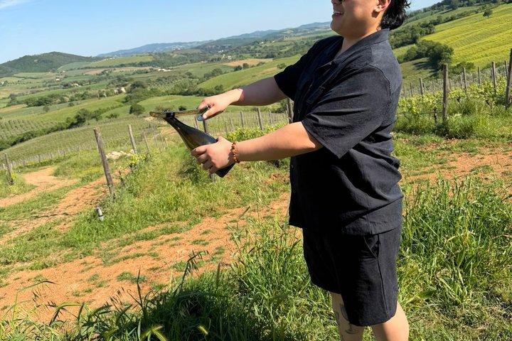 Escursione di un giorno in Toscana da Roma con degustazione di vini e pranzo tradizionale