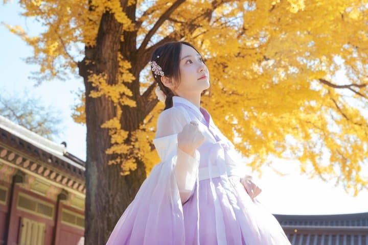 Seoul Premium Hanbok Rental at Arihanbok Photoshoot Included