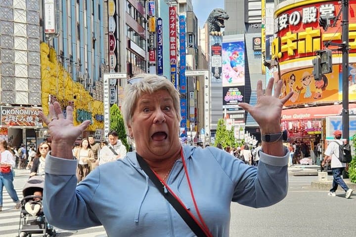 Tokyo Sightseeing City Tour by Private Car with English Driver