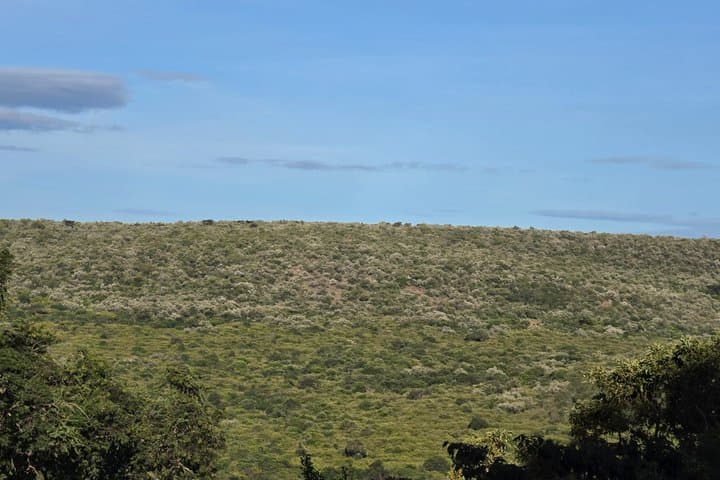 6 Day Masai Mara and Amboseli Safari