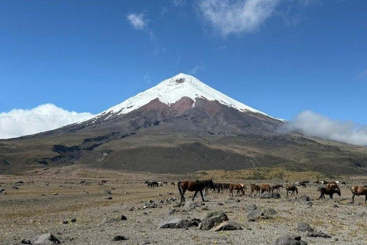 Cotopaxi tour privado y Día completo desde Quito