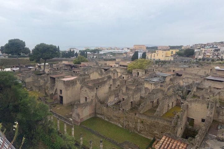 Herculaneum & the Archeological Museum of Naples Private Tour