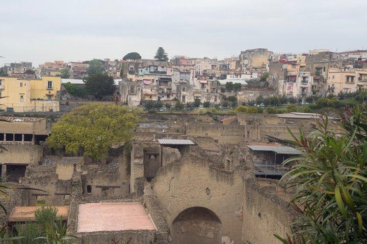 Herculaneum & the Archeological Museum of Naples Private Tour
