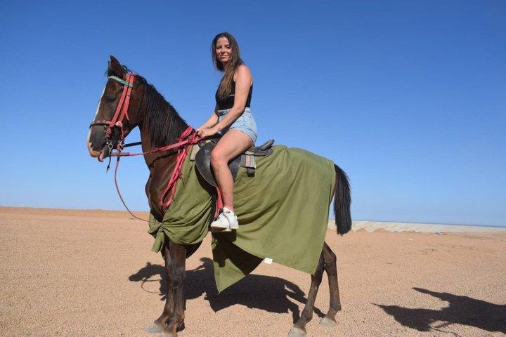 Hoteller i nærheden af Hurghada - 2 Hour Horse Ride Beach & Desert