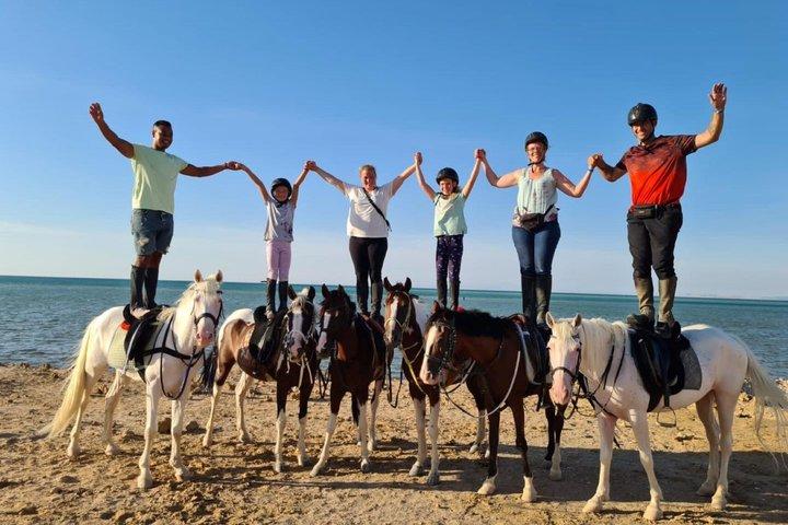 Hoteller i nærheden af Hurghada - 2 Hour Horse Ride Beach & Desert