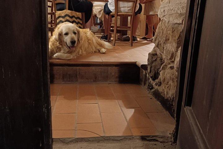 Valpolicella vinsmagningstur på Corte Archi