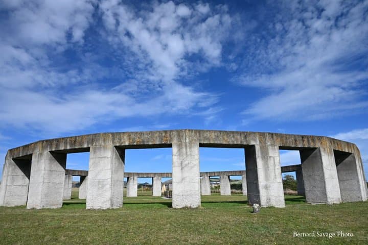 Shared 90 minutes Tour of Stonehenge Aotearoa