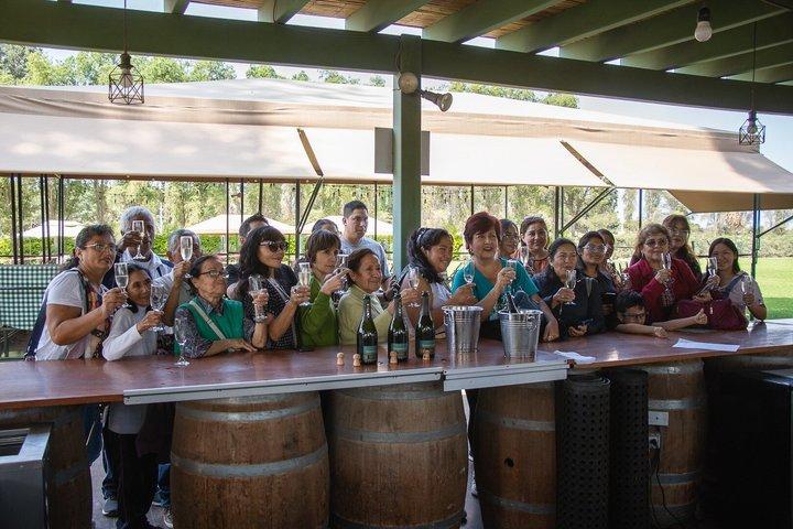 PISCO ROUTE + Tacama + Wine and Pisco Tasting – Ica