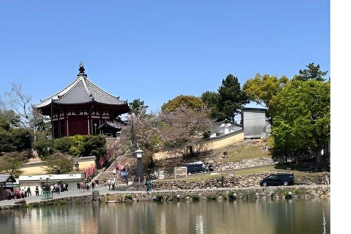 Nara Afternoon Sake Walk : Visite de brasserie, dégustations et rues locales