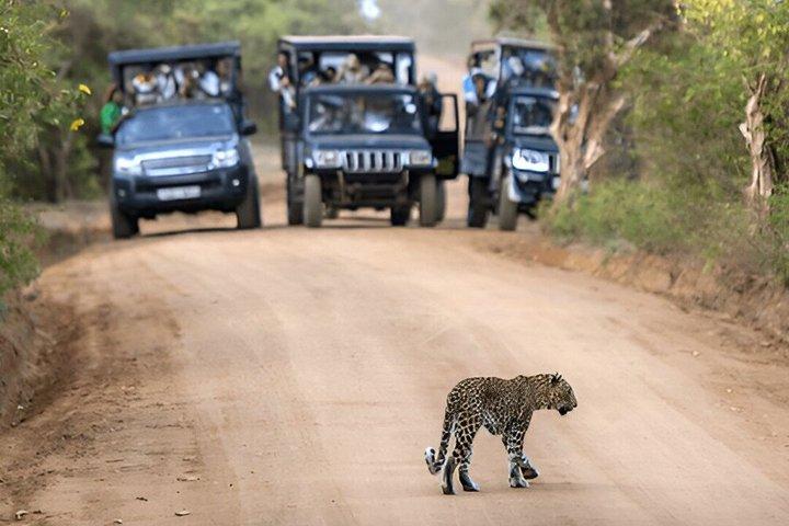 Visite privée de Hiriketiya à Ella avec Yala Safari