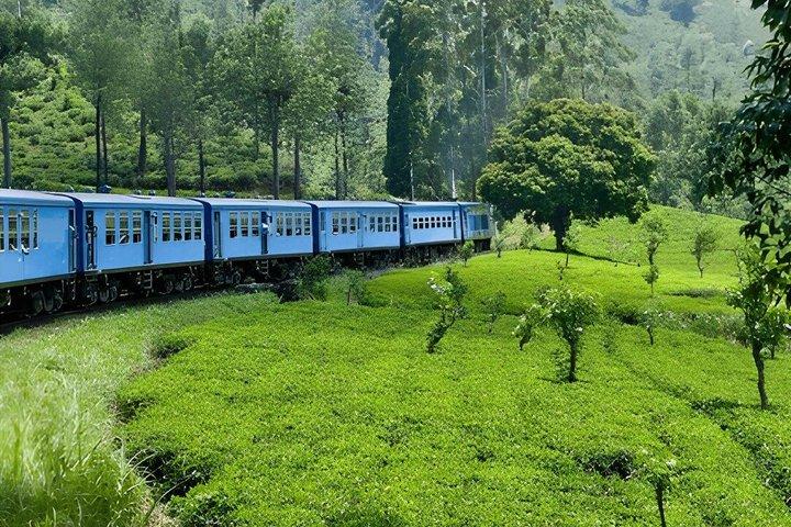 アンベウェラからエラへの列車乗車(列車№1005/1015)