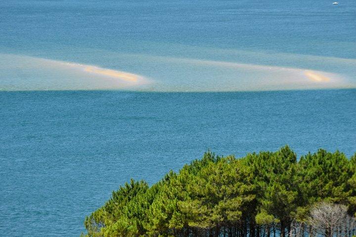 Excursion d'une journée au départ de Bordeaux Baie d'Arcachon et Dune du Pilat