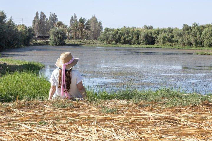 Shaumari Reserve en Azraq Wetland Private Full Day Tour vanuit Amman