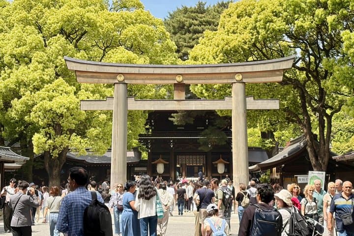 Tokyo Private Highlights Tour by Luxury Car with Local Guide
