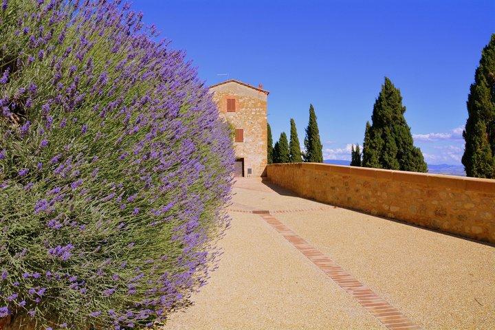 Verken Pienza van ideale Renaissancestad tot Toscaanse uitzichten