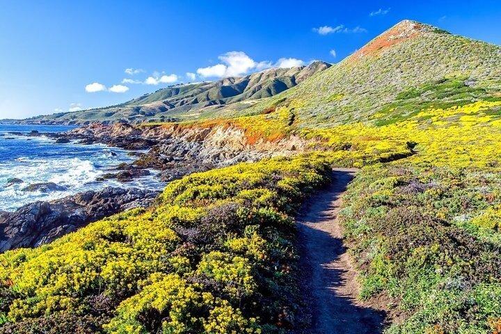 De Cupertino Enchanting 17 milhas de carro , Big Sur e Carmel