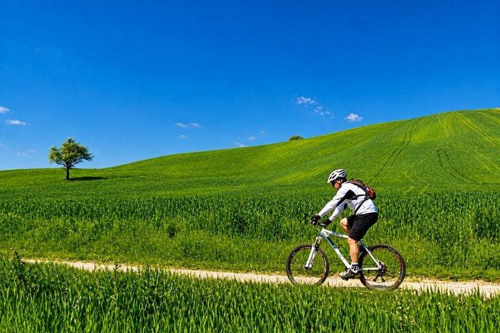 Siena : Chianti Guided E-Bike Tour com almoço e 2 degustações de vinhos