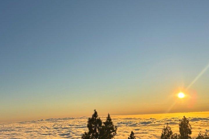 Teide Nationalpark Tour mit dem Minibus