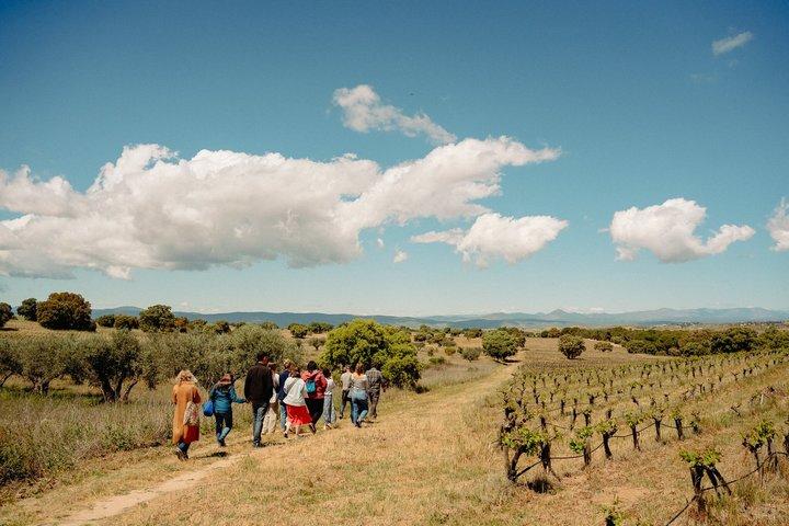 2 - Dagtour met kleine groep: Toledo, Segovia & Ávila vanuit Madrid