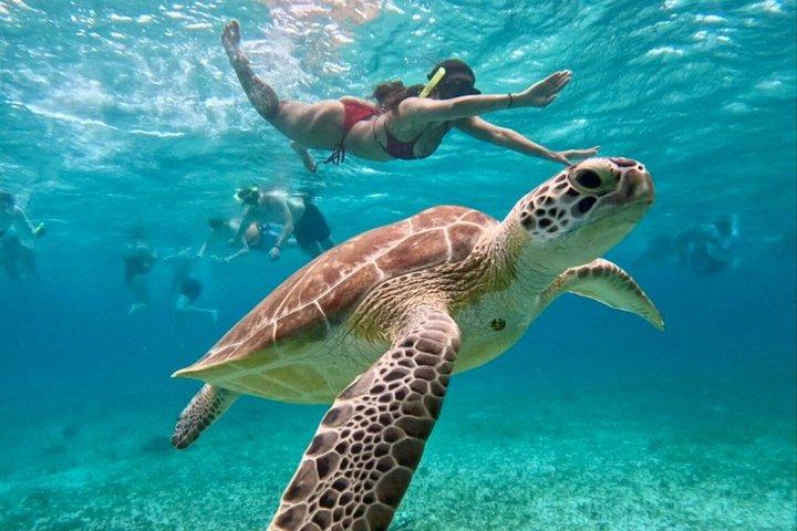 Cozumel Cruise Shore Excursion Snorkel e El Cielo 4 horas