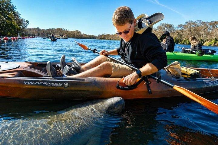 Small Group Manatee Discovery Kayak Tour perto de Orlando