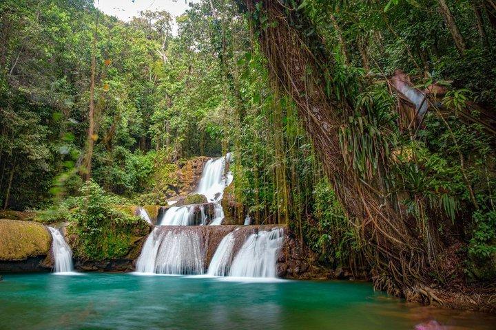 Costa Sur - YS Falls, Appleton, Black River, Pelican Bar Jamaica