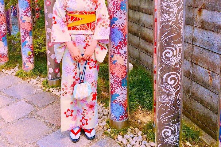 京都観光 : 「 名古屋のフォトジェニックなスポット3選」ランチ付き