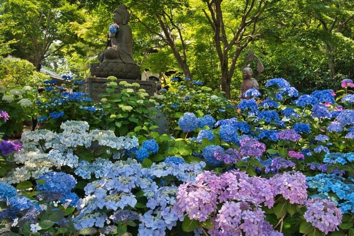 From Tokyo: Kamakura & Enoshima 1-Day Bus Tour