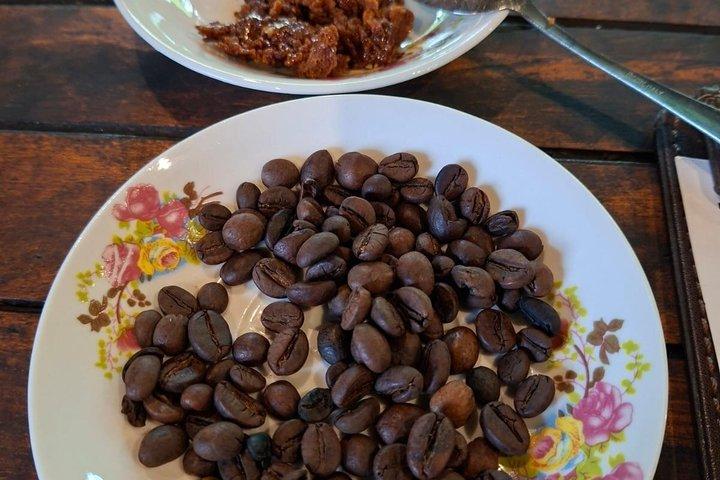 MesaStilaリゾートfrスマランでのコーヒープランテーションホテルツアー