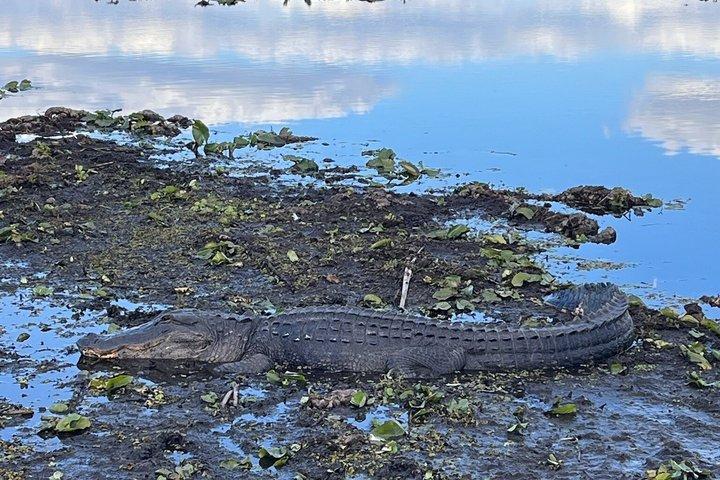 2-Hour Airboat Adventure