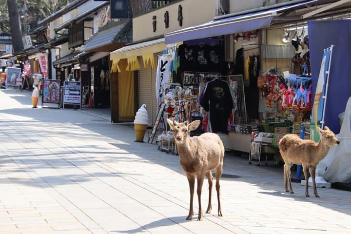 From Osaka/Kyoto: Kyoto & Nara Day Trip with Optional Lunch