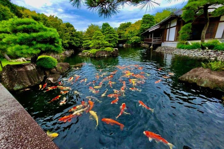 Himeji Castle, Arima Onsen & Mt. Rokko: 1-Day Bus Tour from Osaka