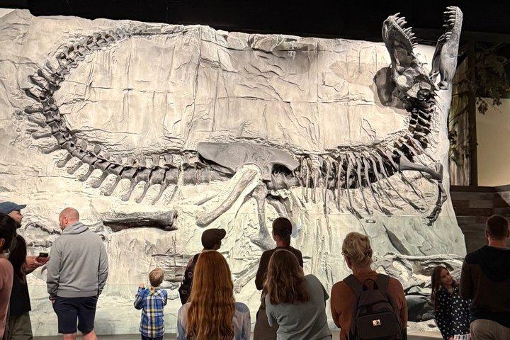 カルガリーからドラムヘラーバッドランズまで恐竜とフードゥーの日