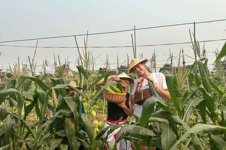Hanoi Farm-to-Table Kochkurs mit Dorf Radfahren