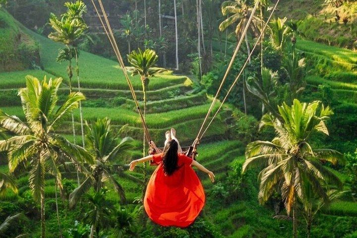 Het beste van Ubud Privé en All-Inclusive 1 - Dagtour