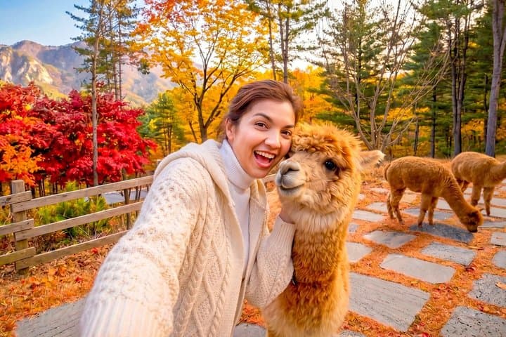 Nami+Alpaca+Garden of Morning Calm (+Rail Bike Option)