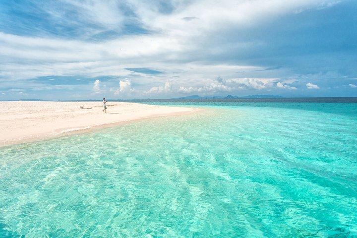 Premium Phi Phi Island Maya Bay Bamboo island From Phuket By Speedboat