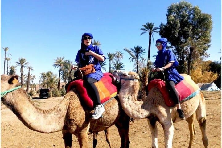 Private Transfer Casablanca to Marrakech